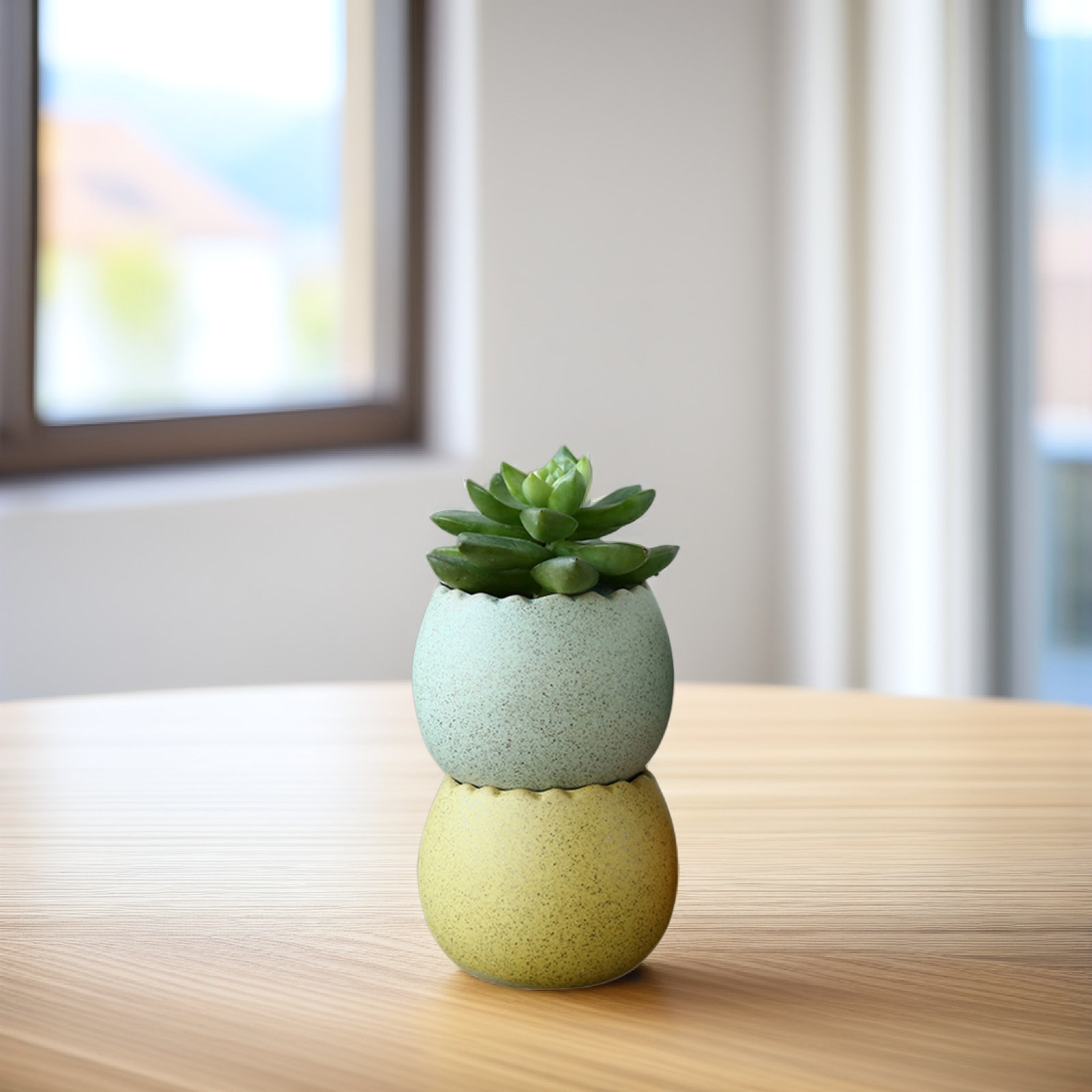 6Pcs Stylish Ceramic Mini Pots - Aloe Vera Pot บทวิจารณ์และราคา