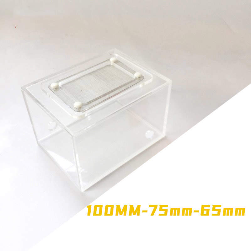 Acrylic Finished Seamless Ant  - Begonia Rex บทวิจารณ์และราคา