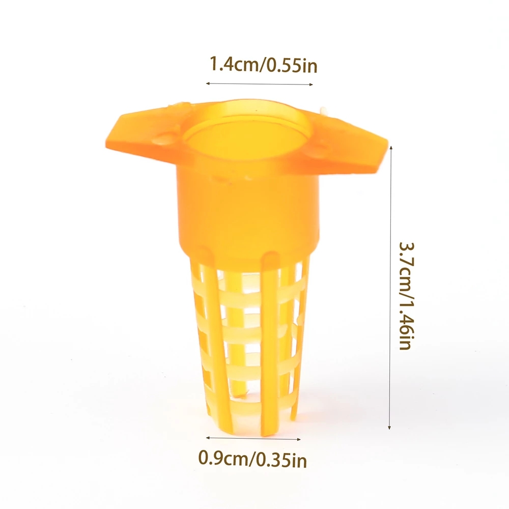 50 Pcs King Cells Plastic Bee  - Begonia Rex บทวิจารณ์และราคา