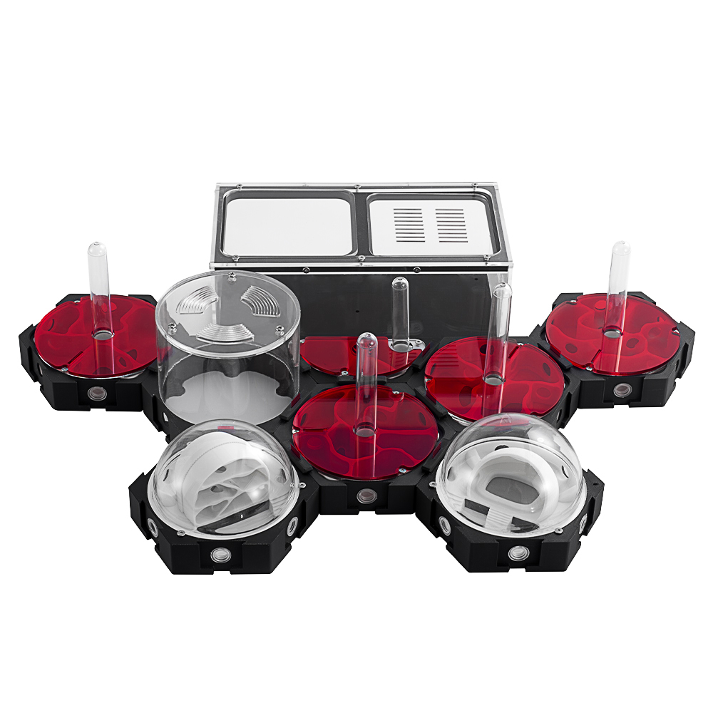3D Printing Ant Farm Infinitel - Begonia Rex บทวิจารณ์และราคา