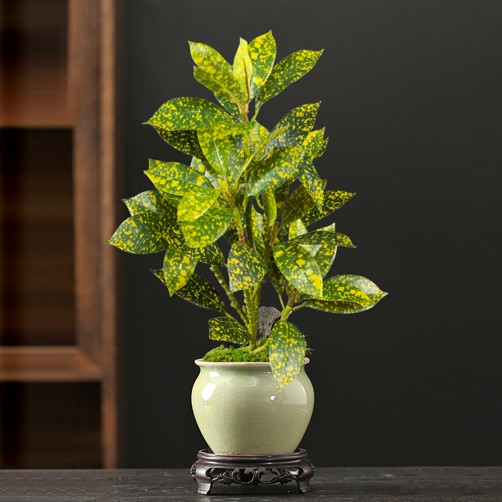 24-41cm Artificial Ficus Tree  - Ficus Lyrata Tree บทวิจารณ์และราคา