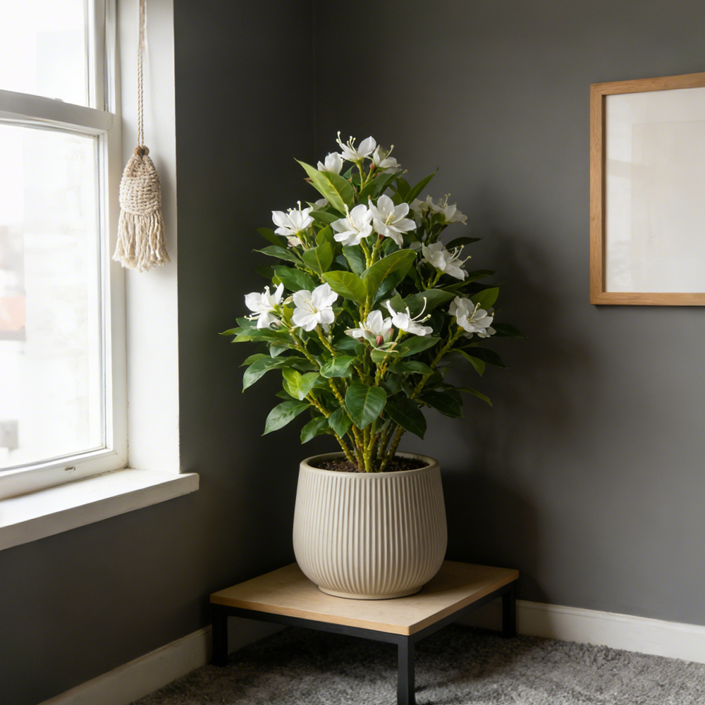 21-40cm Artificial Azalea Flow - Ficus Lyrata Tree บทวิจารณ์และราคา