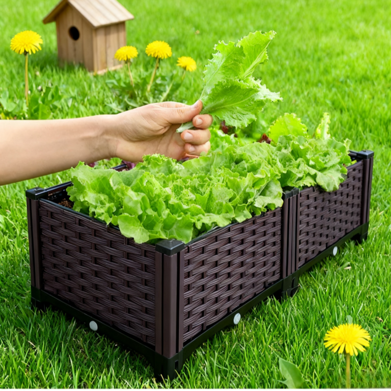 Balcony Vegetable Planting Pot - Aloe Vera Pot บทวิจารณ์และราคา