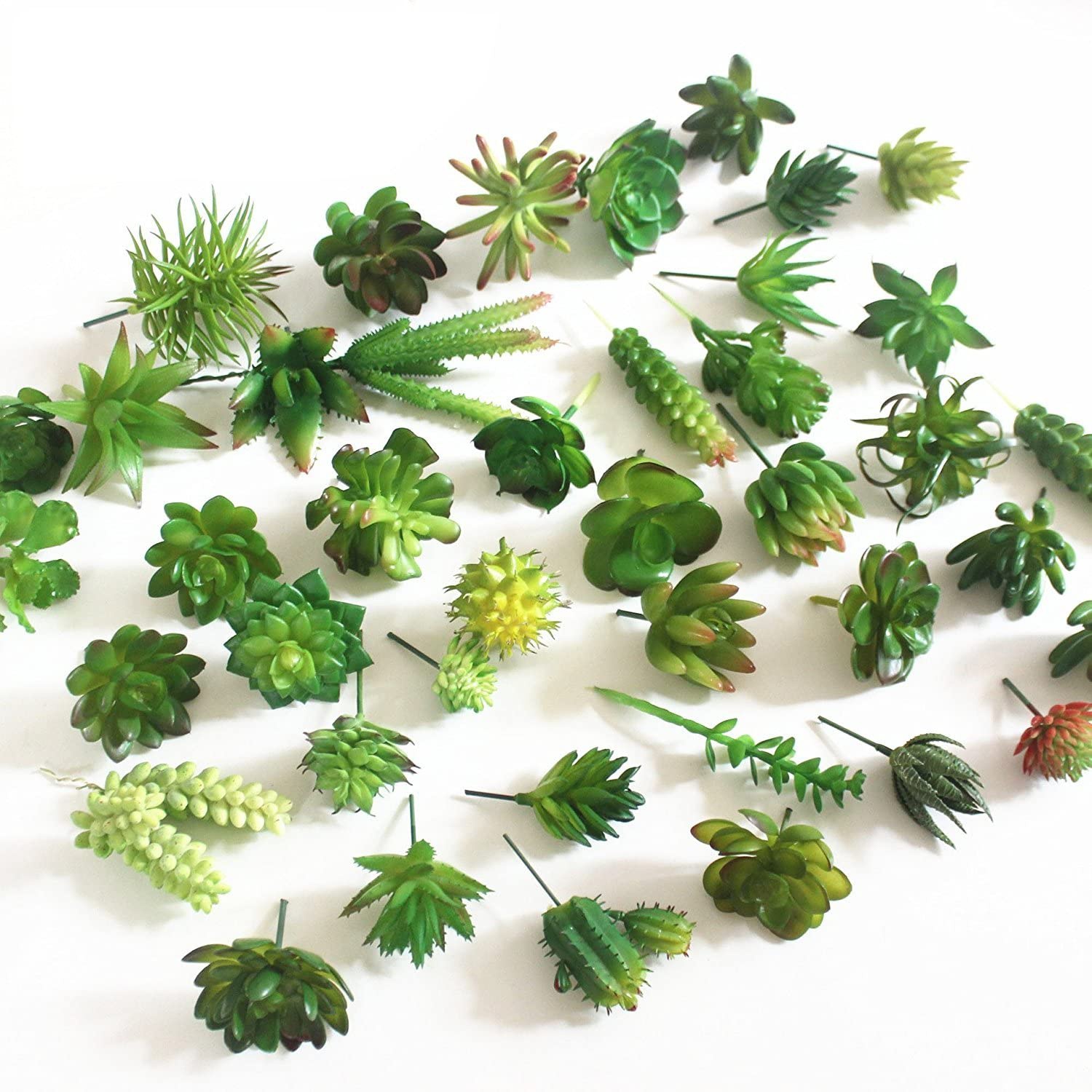 15pcs Artificial Succulent Pla - Echeveria Succulent บทวิจารณ์และราคา