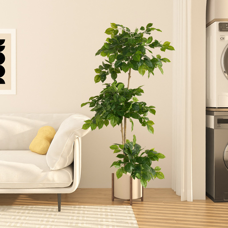 2-78in Large Fake Plants Artif - Dracaena Marginata บทวิจารณ์และราคา