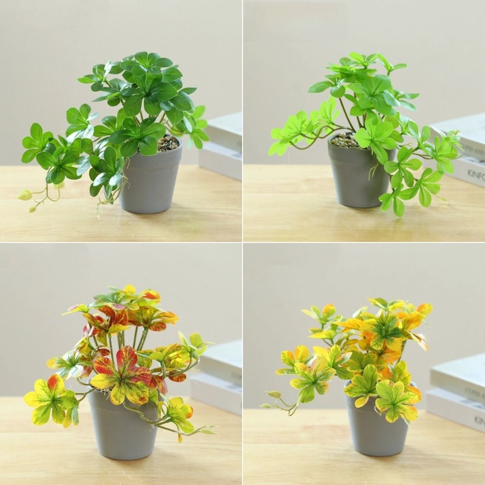 Bonsai Artificial Bonsai Plant - Spider Plant Hanging บทวิจารณ์และราคา