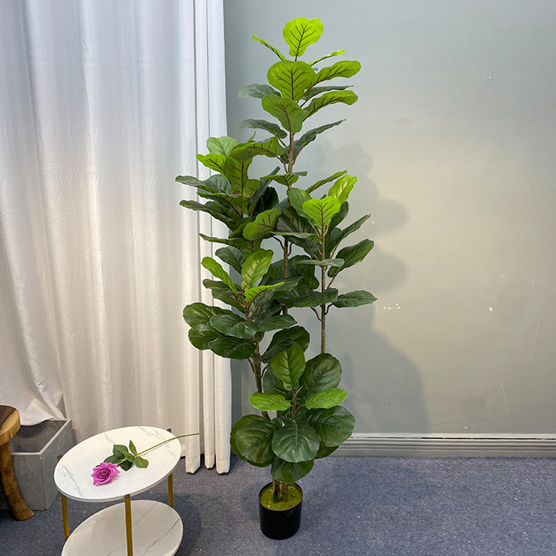 59in Large Ficus Tree Artifici - Ficus Lyrata Tree บทวิจารณ์และราคา
