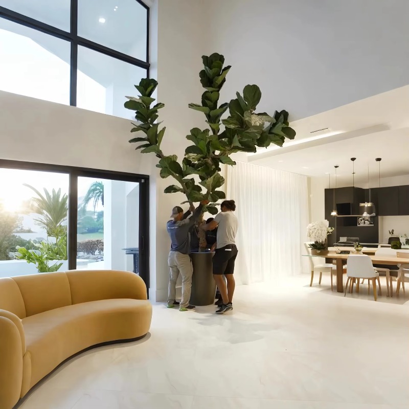 Artificial Plants Indoor Potte - Ficus Lyrata Tree บทวิจารณ์และราคา