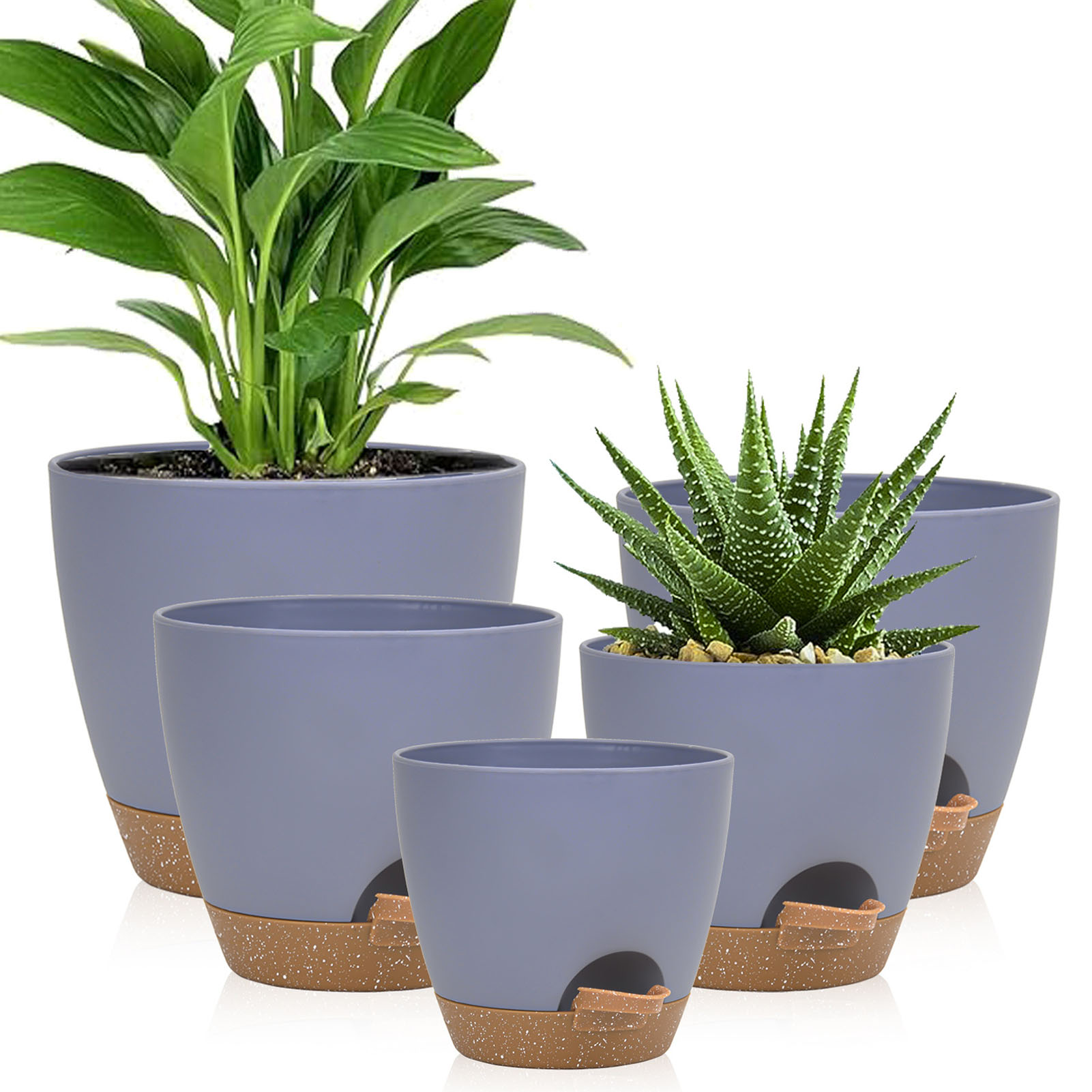 5piece Indoor Flower Pots With - Aloe Vera Pot บทวิจารณ์และราคา