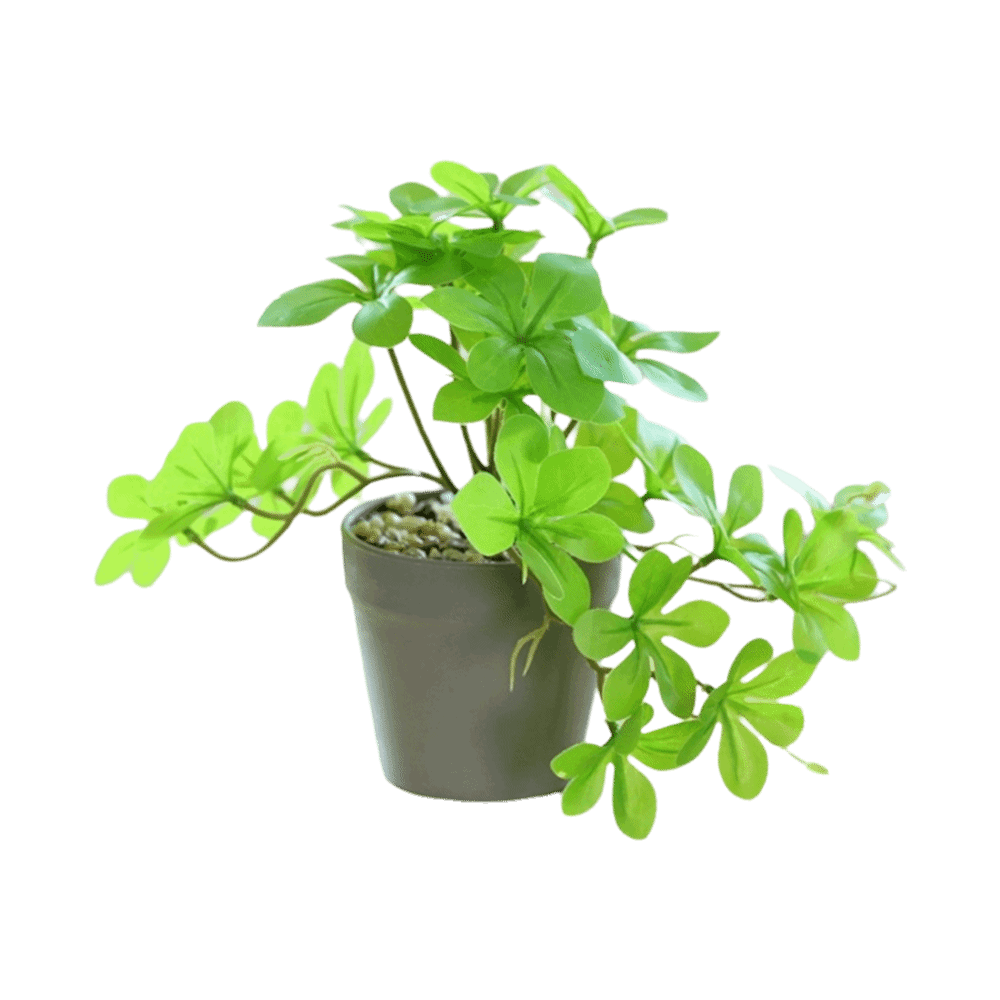 Bonsai Artificial Bonsai Plant - Spider Plant Hanging บทวิจารณ์และราคา