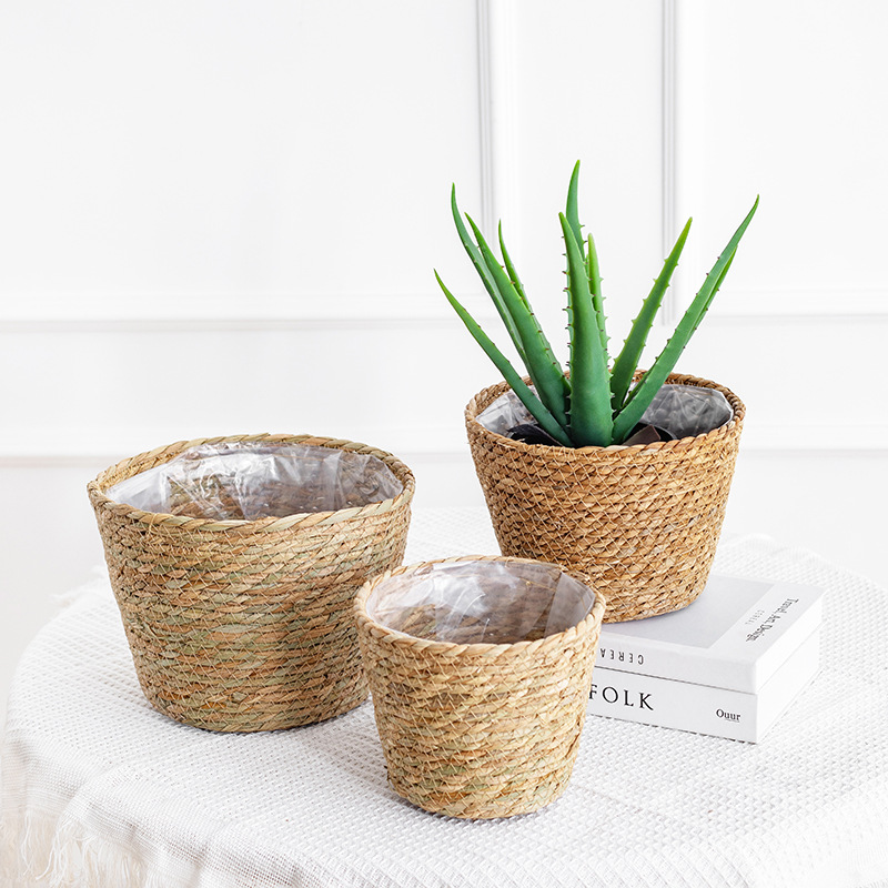 Natural Woven Flower Basket St - Aloe Vera Pot บทวิจารณ์และราคา
