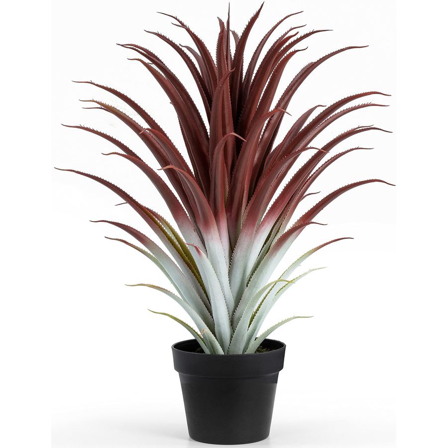 Hyper Realistic Big Red Artifi - Aloe Vera Pot บทวิจารณ์และราคา