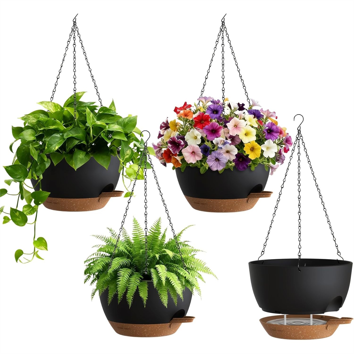 Self Watering Hanging Planters - Spider Plant Hanging บทวิจารณ์และราคา
