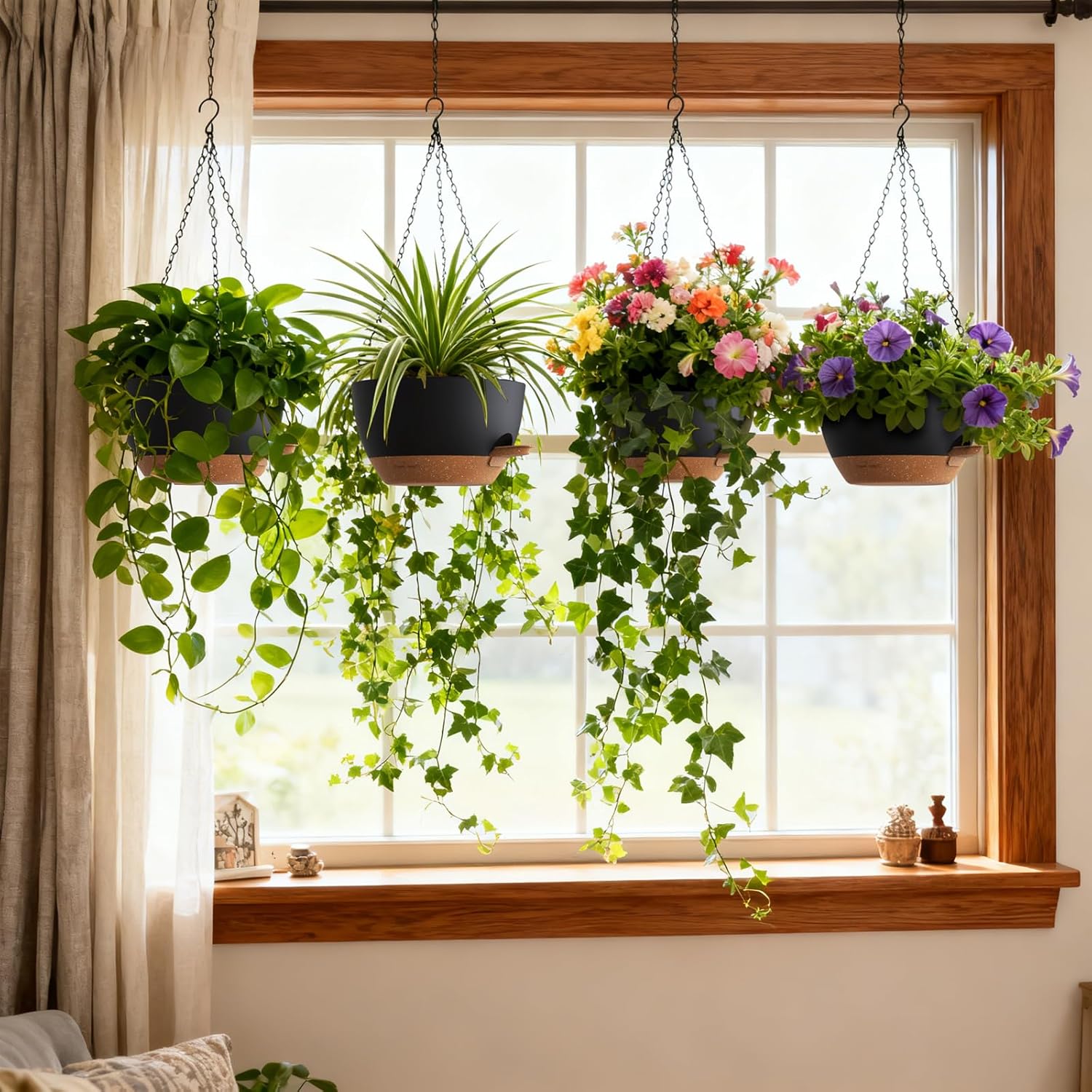 Self Watering Hanging Planters - Spider Plant Hanging บทวิจารณ์และราคา