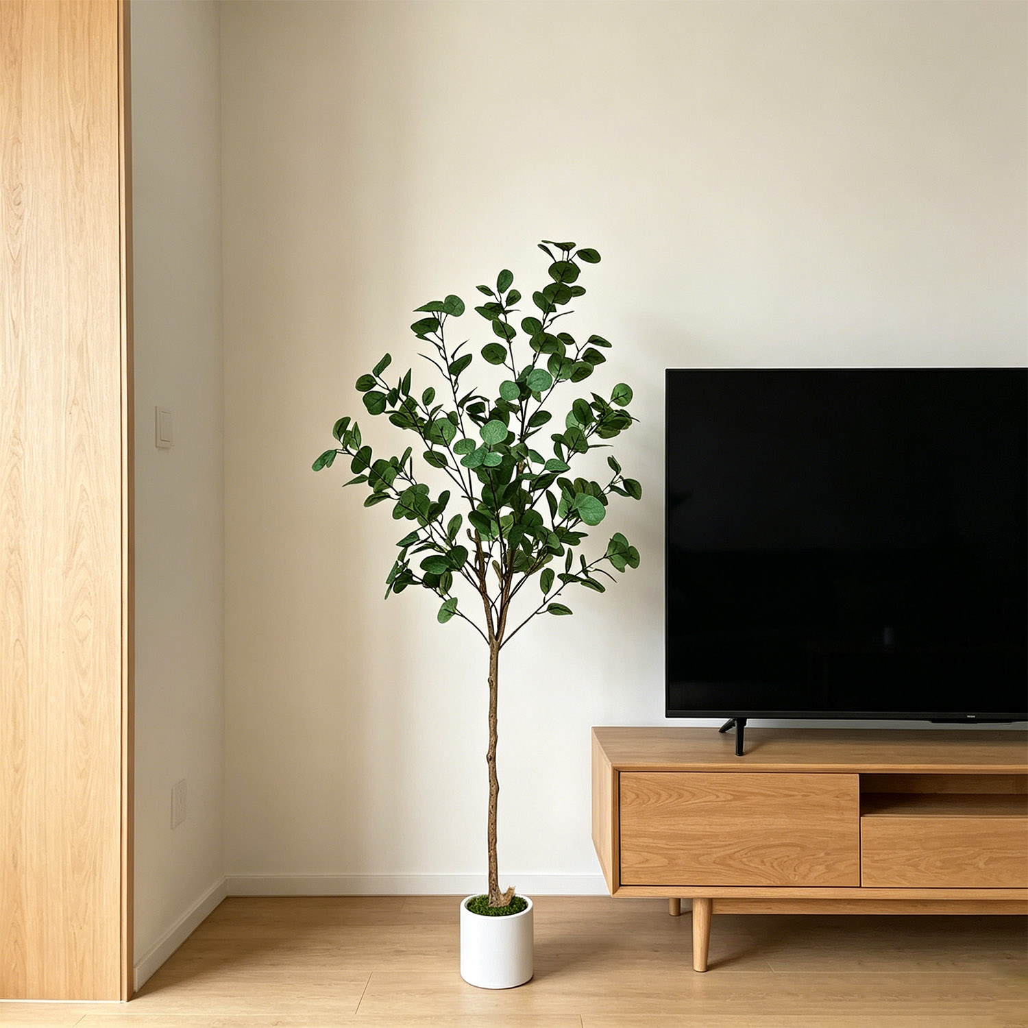 120-155Cm/5.1Ft Artificial Euc - Dracaena Marginata บทวิจารณ์และราคา