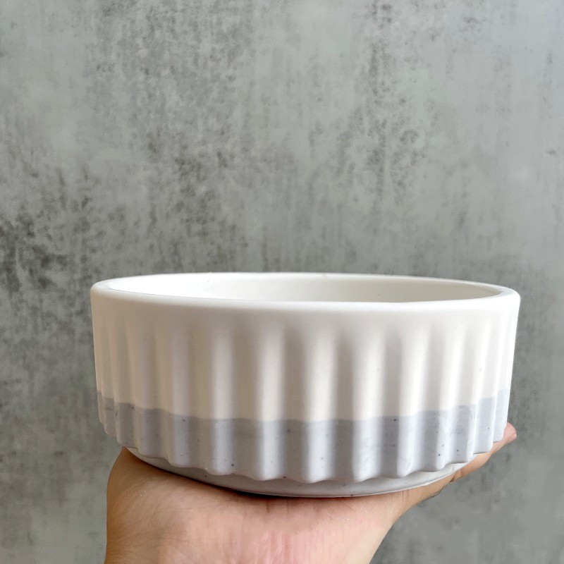 Stripe Flowerpot Silicone Mold - Echeveria Succulent บทวิจารณ์และราคา