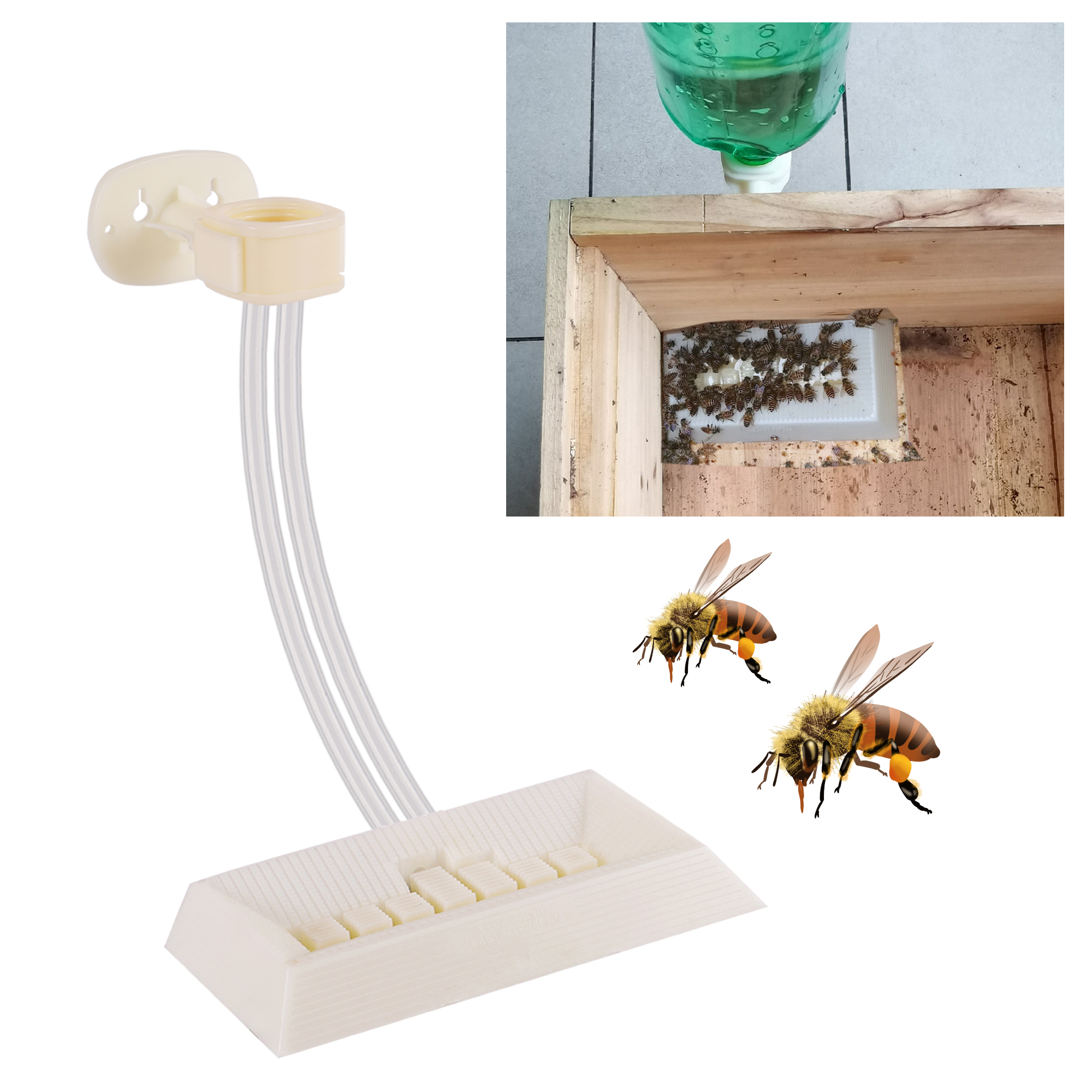2Pcs Automatic Feeding Drinker - Begonia Rex บทวิจารณ์และราคา