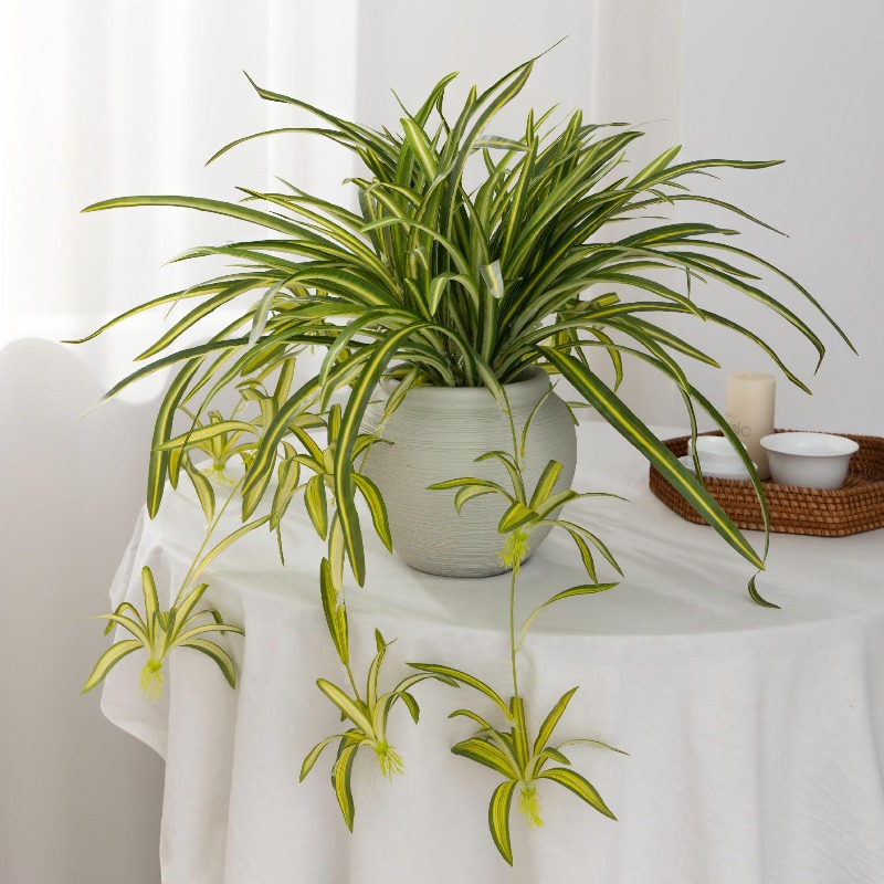 Artificial Spider Plant Chloro - Spider Plant Hanging บทวิจารณ์และราคา