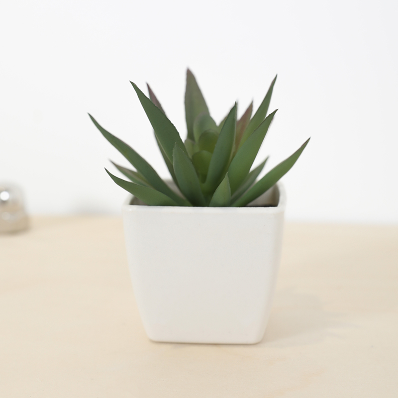 Mini Artificial Succulent Fair - Echeveria Succulent บทวิจารณ์และราคา