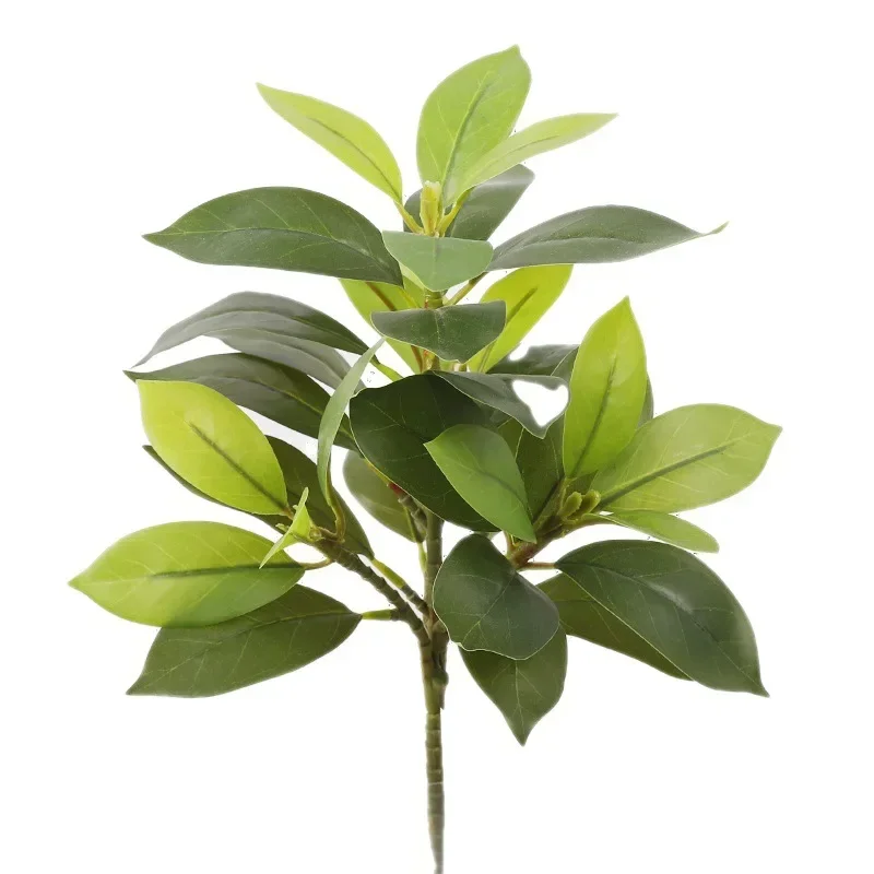 Plastic Artificial Color-chang - Dracaena Marginata บทวิจารณ์และราคา