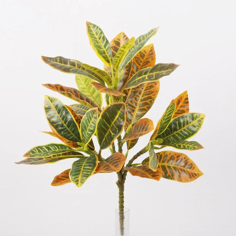 Plastic Artificial Color-chang - Dracaena Marginata บทวิจารณ์และราคา
