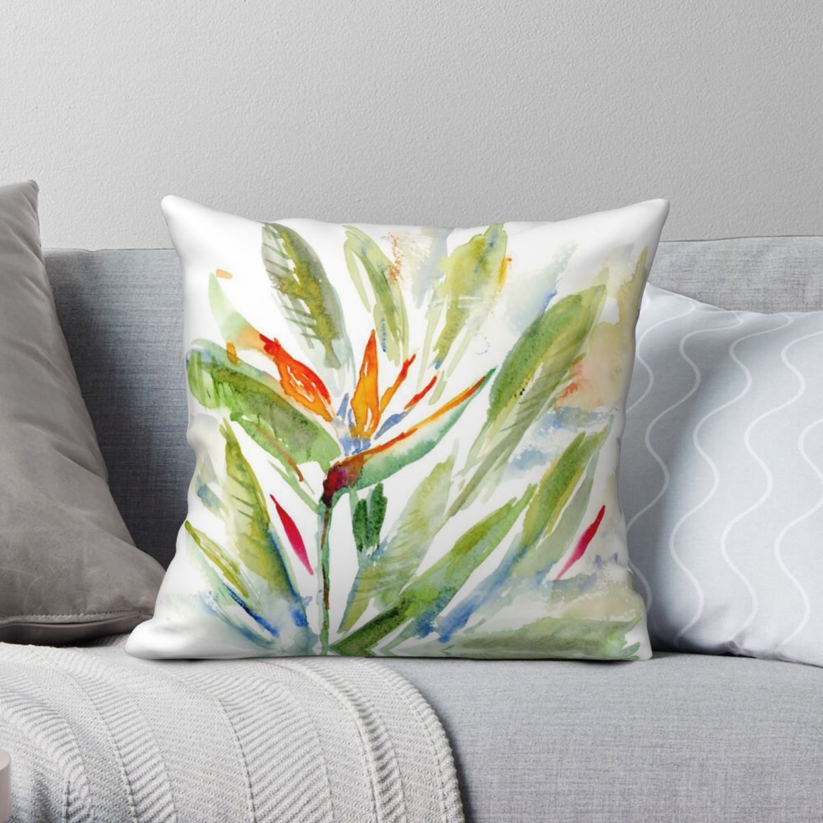 Bird Of Paradise Strelitzia Sq - Bird Paradise Strelitzia บทวิจารณ์และราคา