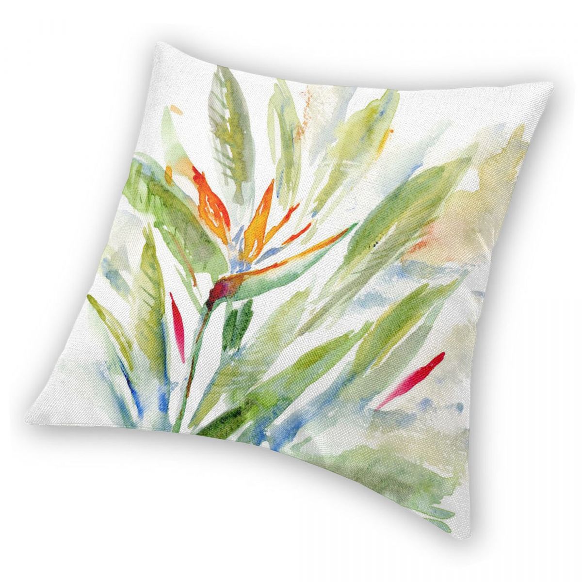 Bird Of Paradise Strelitzia Sq - Bird Paradise Strelitzia บทวิจารณ์และราคา