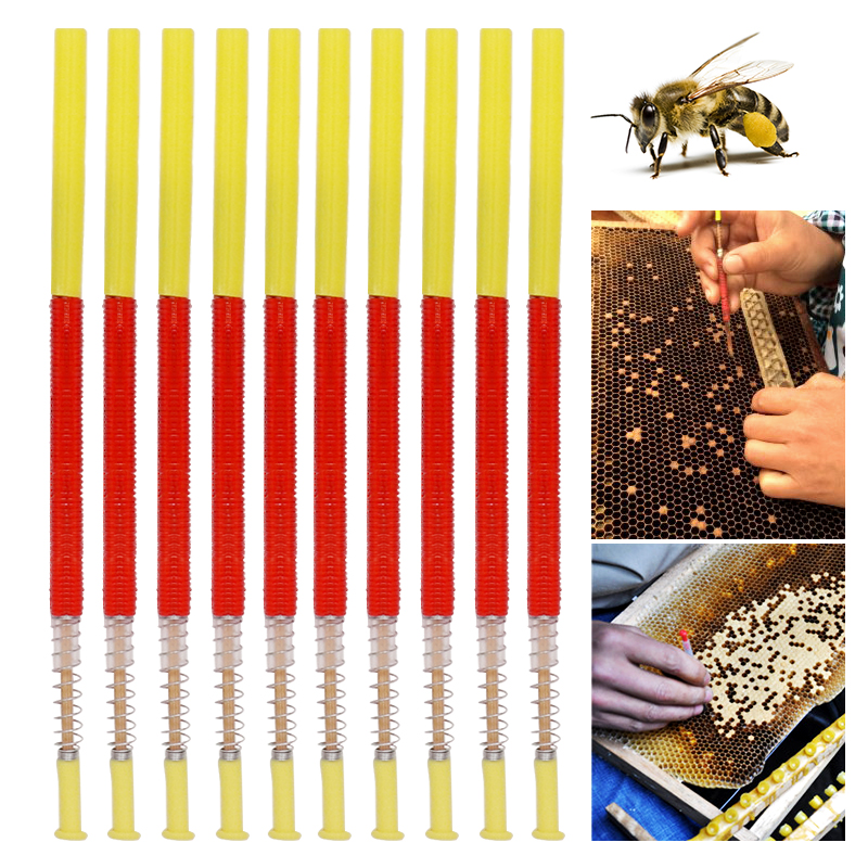 5/10Pcs Beekeeping Grafting To - Begonia Rex บทวิจารณ์และราคา
