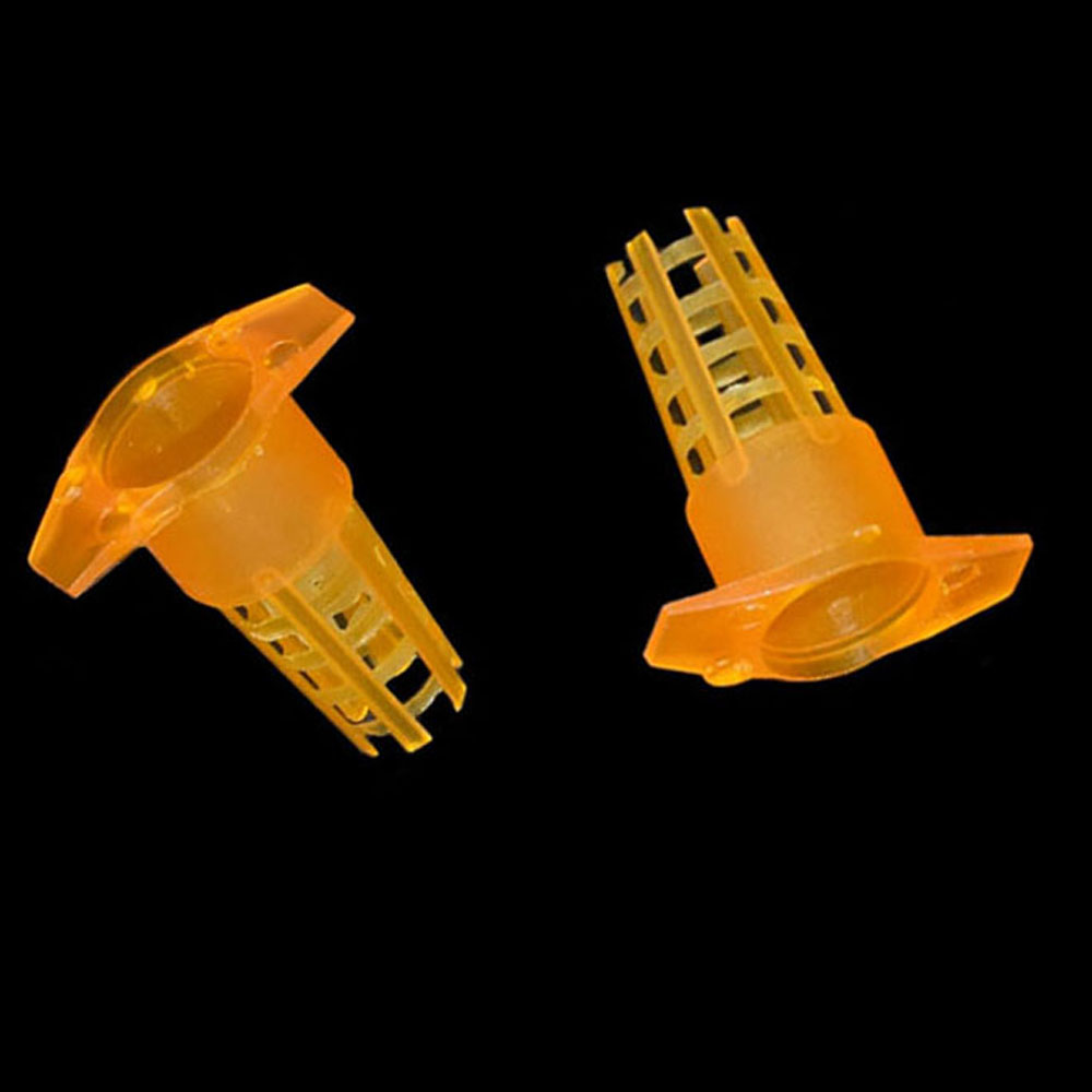 20 pcs Plastic Bee Queen Cage  - Begonia Rex บทวิจารณ์และราคา