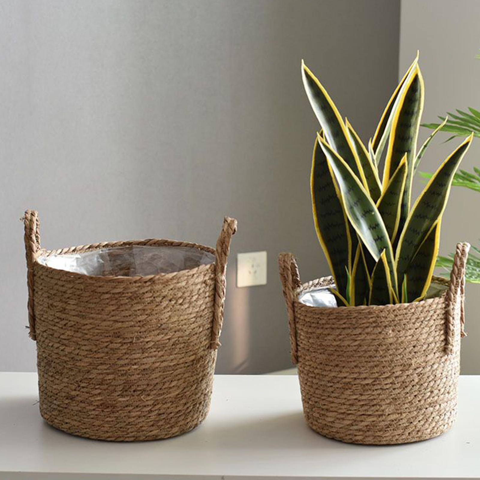 Wicker Plant Basket with Handl - Aloe Vera Pot บทวิจารณ์และราคา