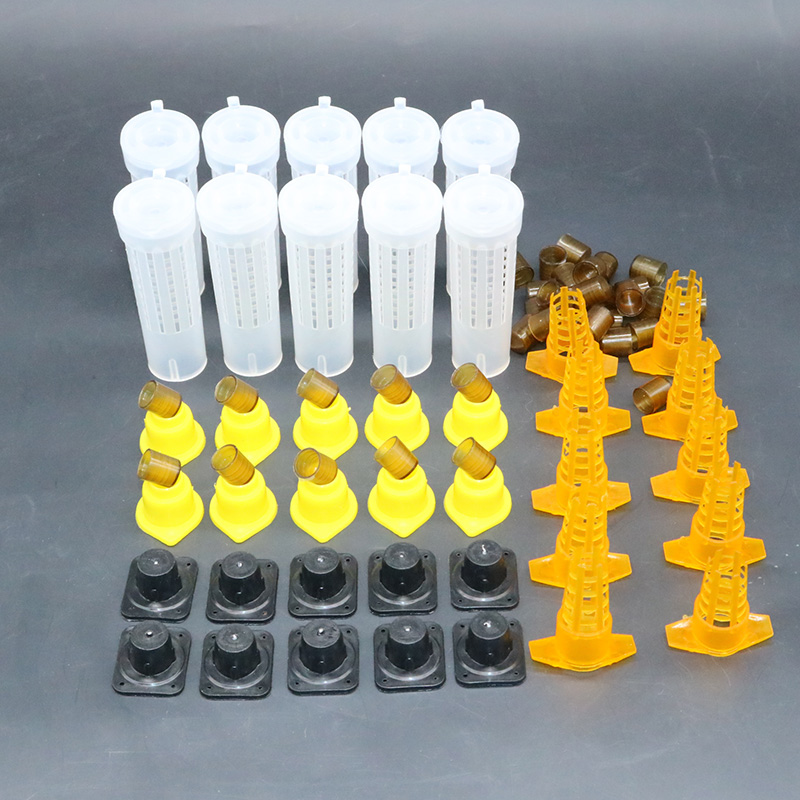 Complete bee queen king rearin - Begonia Rex บทวิจารณ์และราคา